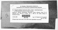 Image Associated With the Occurence